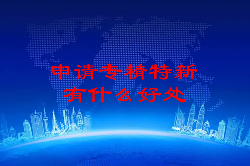 申請(qǐng)專精特新有什么好處（支持專精特新企業(yè)發(fā)展的意義）
