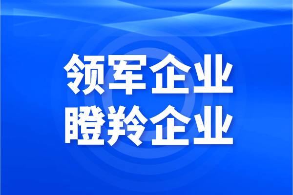 2021年中山火炬區(qū)領(lǐng)軍及“瞪羚”企業(yè)認(rèn)定及專項(xiàng)扶持資金申報(bào)