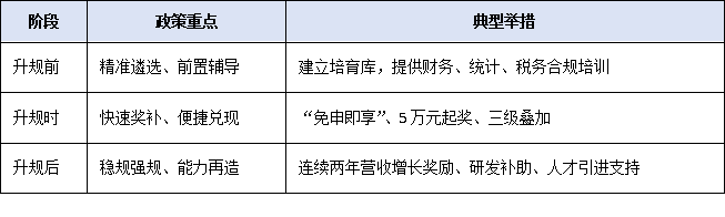 2025年小微工業(yè)企業(yè)上規(guī)模政策解讀：升規(guī)不是目的，產(chǎn)業(yè)躍升才是關(guān)鍵