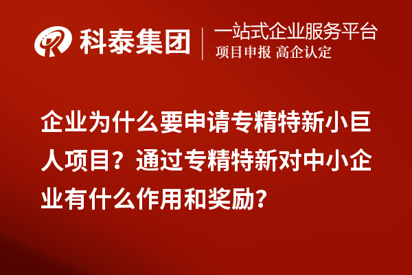 企業(yè)為什么要申請(qǐng)專精特新小巨人項(xiàng)目？通過專精特新對(duì)中小企業(yè)有什么作用和獎(jiǎng)勵(lì)？