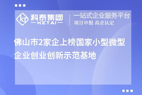 佛山市2家企上榜國(guó)家小型微型企業(yè)創(chuàng)業(yè)創(chuàng)新示范基地
