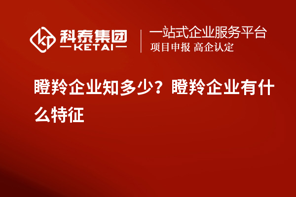 瞪羚企業(yè)知多少？瞪羚企業(yè)有什么特征