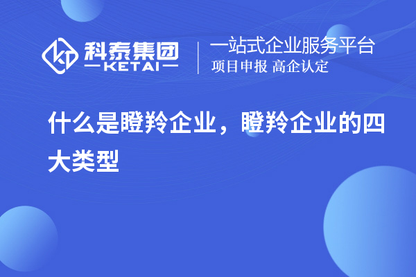 什么是瞪羚企業(yè),瞪羚企業(yè)的四大類型