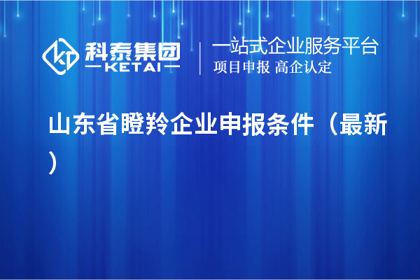 山東省瞪羚企業(yè)申報(bào)條件(最新)