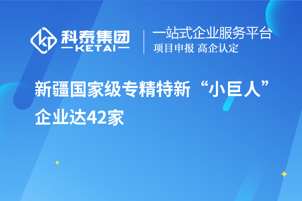 新疆國家級專精特新“小巨人”企業(yè)達42家