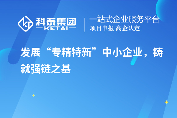 發(fā)展“專精特新”中小企業(yè),鑄就強鏈之基