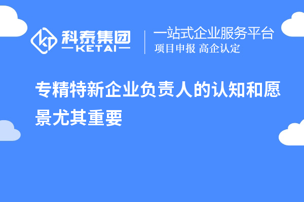 專精特新企業(yè)負(fù)責(zé)人的認(rèn)知和愿景尤其重要