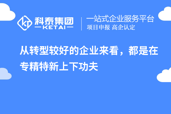 從轉型較好的企業(yè)來看，都是在專精特新上下功夫