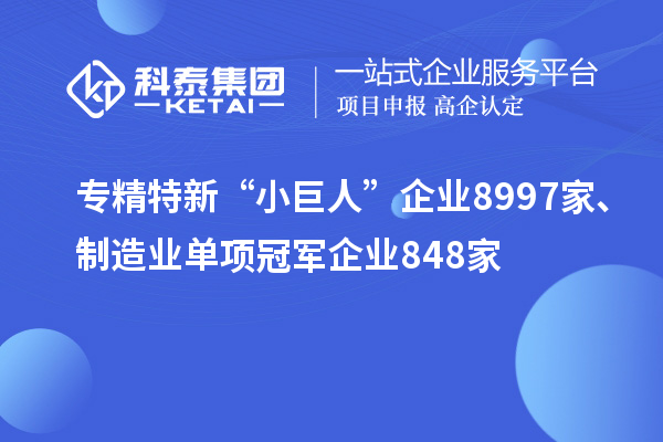 專精特新“小巨人”企業(yè)8997家、制造業(yè)單項(xiàng)冠軍企業(yè)848家