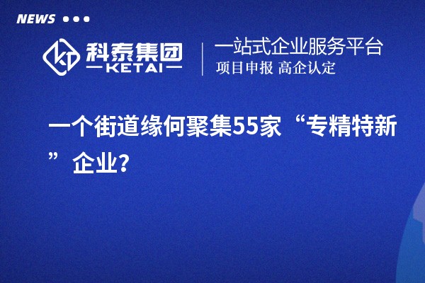 一個(gè)街道緣何聚集55家“專精特新”企業(yè)?