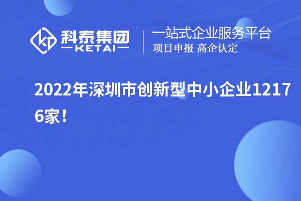 2022年深圳市創(chuàng)新型中小企業(yè)12176家!