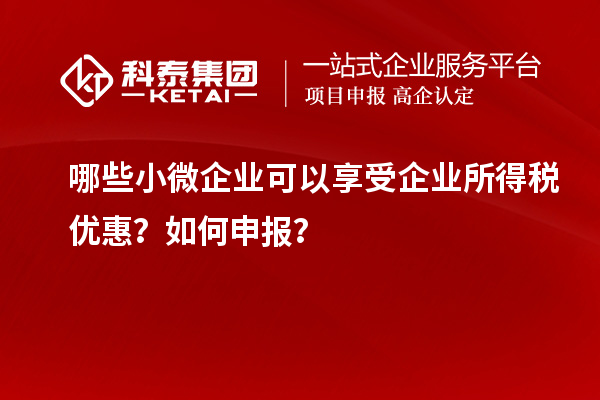 哪些小微企業(yè)可以享受企業(yè)所得稅優(yōu)惠？如何申報？