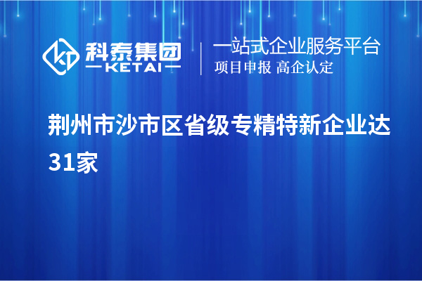 荊州市沙市區(qū)省級專精特新企業(yè)達(dá)31家