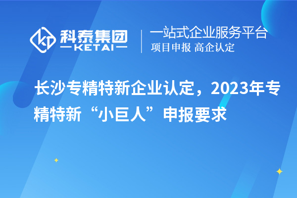長沙專精特新企業(yè)認定，2023年專精特新“小巨人”申報要求