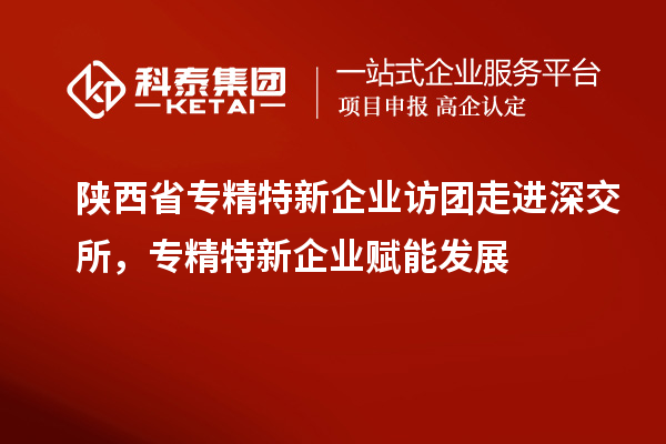 陜西省專精特新企業(yè)訪團(tuán)走進(jìn)深交所，專精特新企業(yè)賦能發(fā)展