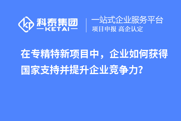 在專精特新項(xiàng)目中，企業(yè)如何獲得國(guó)家支持并提升企業(yè)競(jìng)爭(zhēng)力？