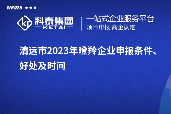 清遠市2023年瞪羚企業(yè)申報條件、好處及時間