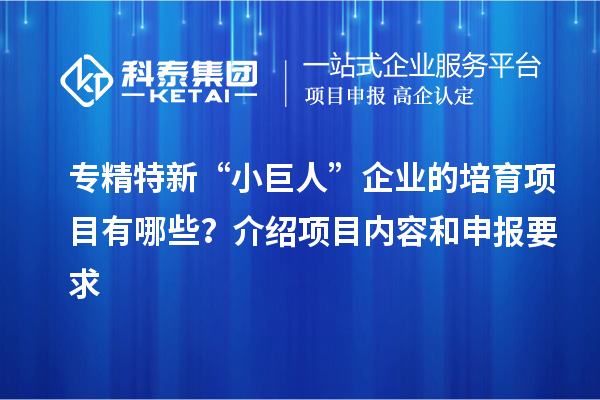 專精特新“小巨人”企業(yè)的培育項目有哪些?介紹項目內容和申報要求