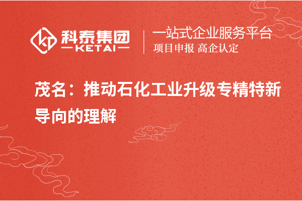茂名：推動石化工業(yè)升級專精特新導(dǎo)向的理解
