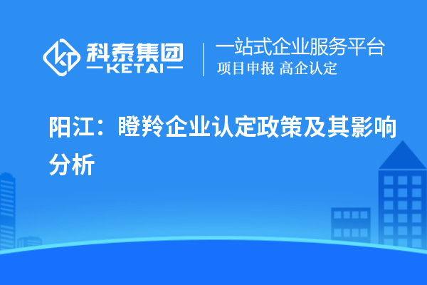 陽江:瞪羚企業(yè)認(rèn)定政策及其影響分析