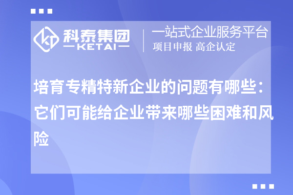 培育專精特新企業(yè)的問題有哪些:它們可能給企業(yè)帶來哪些困難和風(fēng)險(xiǎn)