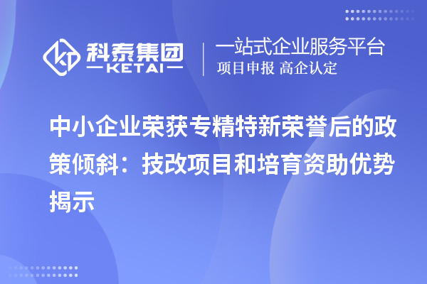 中小企業(yè)榮獲專精特新榮譽后的政策傾斜:<a href=http://www.a910078829.cn/fuwu/jishugaizao.html target=_blank class=infotextkey>技改</a>項目和培育資助優(yōu)勢揭示