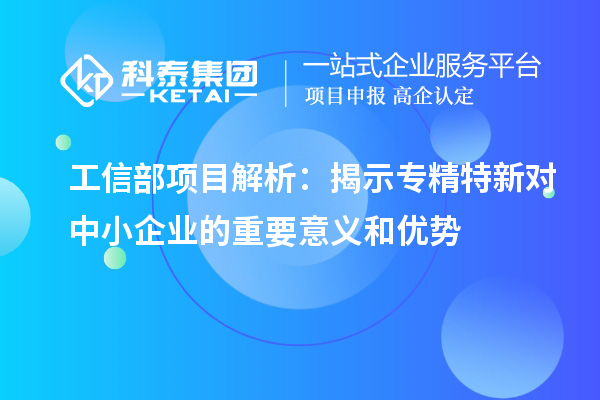 工信部項目解析:揭示專精特新對中小企業(yè)的重要意義和優(yōu)勢