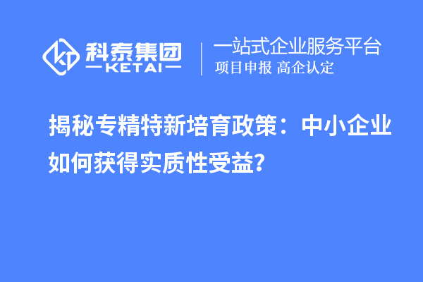 揭秘專精特新培育政策：中小企業(yè)如何獲得實(shí)質(zhì)性受益？