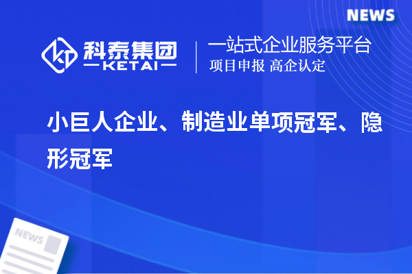 小巨人企業(yè)、制造業(yè)單項冠軍、隱形冠軍