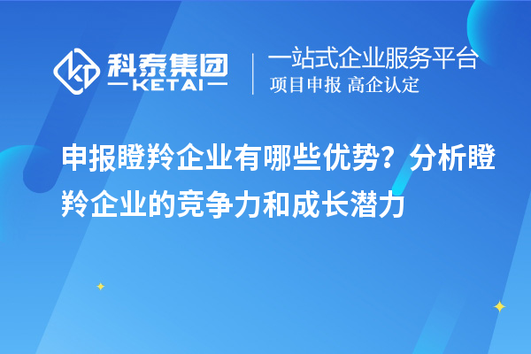 申報瞪羚企業(yè)有哪些優(yōu)勢？分析瞪羚企業(yè)的競爭力和成長潛力