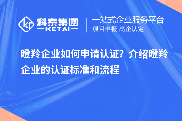 瞪羚企業(yè)如何申請(qǐng)認(rèn)證？介紹瞪羚企業(yè)的認(rèn)證標(biāo)準(zhǔn)和流程