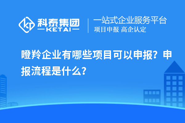 瞪羚企業(yè)有哪些項目可以申報？申報流程是什么？