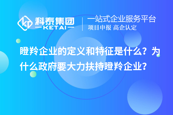 瞪羚企業(yè)的定義和特征是什么？為什么政府要大力扶持瞪羚企業(yè)？