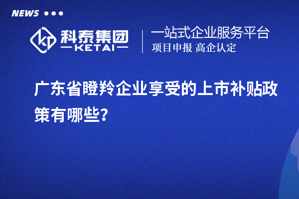 廣東省瞪羚企業(yè)享受的上市補貼政策有哪些？