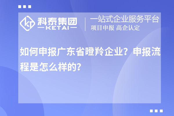 如何申報廣東省瞪羚企業(yè)？申報流程是怎么樣的？