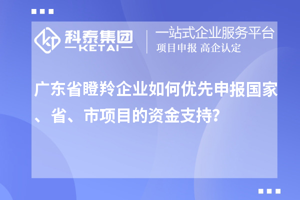 廣東省瞪羚企業(yè)如何優(yōu)先申報國家、省、市項目的資金支持？