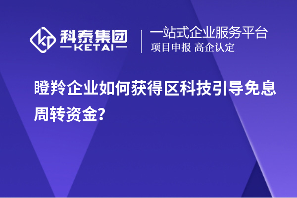 瞪羚企業(yè)如何獲得區(qū)科技引導(dǎo)免息周轉(zhuǎn)資金？