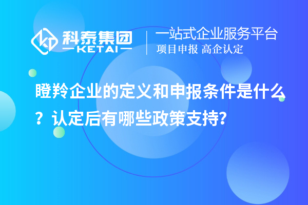 瞪羚企業(yè)的定義和申報條件是什么？認定后有哪些政策支持？
