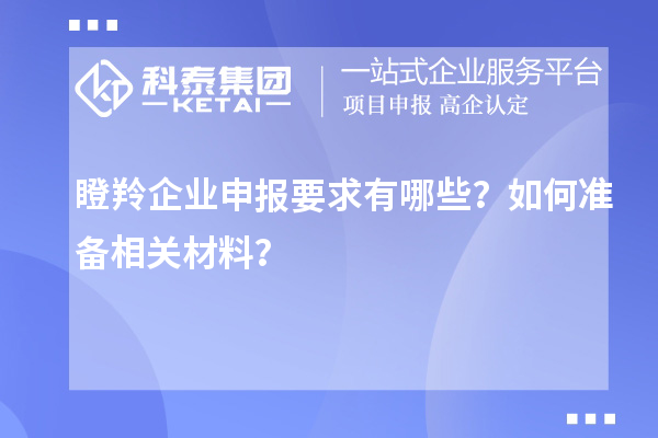 瞪羚企業(yè)申報要求有哪些？如何準備相關(guān)材料？