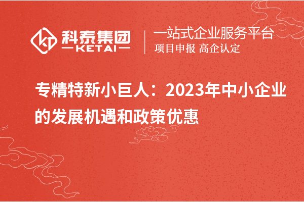 專精特新小巨人:2023年中小企業(yè)的發(fā)展機遇和政策優(yōu)惠