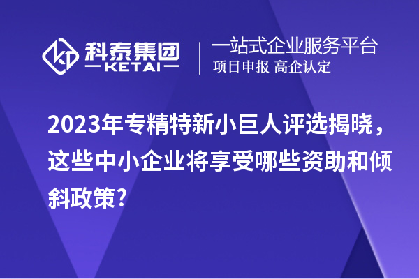 2023年專精特新小巨人評選揭曉，這些中小企業(yè)將享受哪些資助和傾斜政策?