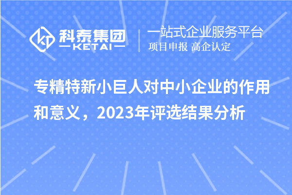 專精特新小巨人對(duì)中小企業(yè)的作用和意義，2023年評(píng)選結(jié)果分析