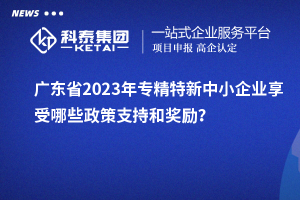 廣東省2023年專精特新中小企業(yè)享受哪些政策支持和獎(jiǎng)勵(lì)？