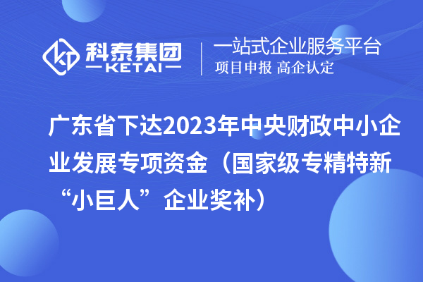 廣東省下達(dá)2023年中央財(cái)政中小企業(yè)發(fā)展專項(xiàng)資金(國(guó)家級(jí)專精特新“小巨人”企業(yè)獎(jiǎng)補(bǔ))