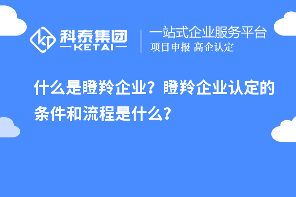 什么是瞪羚企業(yè)？瞪羚企業(yè)認(rèn)定的條件和流程是什么？