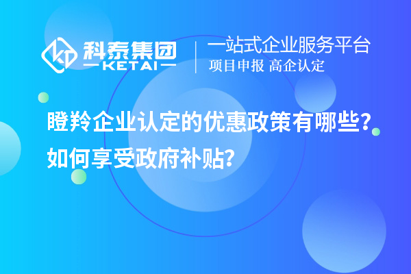 瞪羚企業(yè)認(rèn)定的優(yōu)惠政策有哪些？如何享受政府補貼？