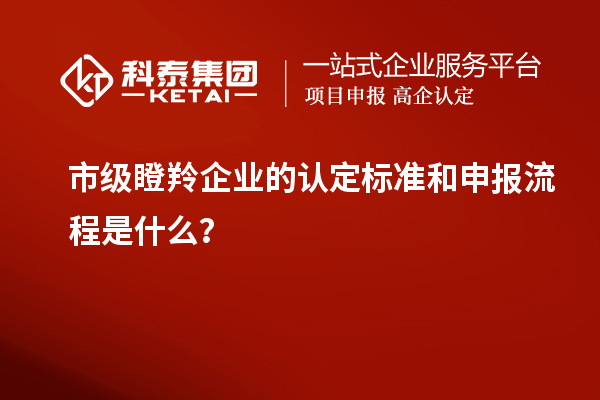 市級瞪羚企業(yè)的認定標準和申報流程是什么?