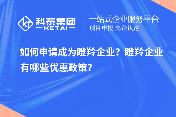 如何申請成為瞪羚企業(yè)？瞪羚企業(yè)有哪些優(yōu)惠政策？