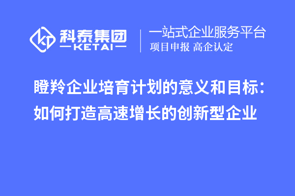 瞪羚企業(yè)培育計劃的意義和目標(biāo)：如何打造高速增長的創(chuàng)新型企業(yè)