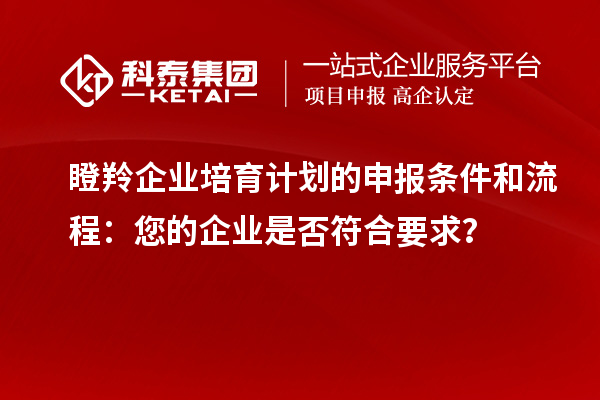瞪羚企業(yè)培育計(jì)劃的申報(bào)條件和流程：您的企業(yè)是否符合要求？